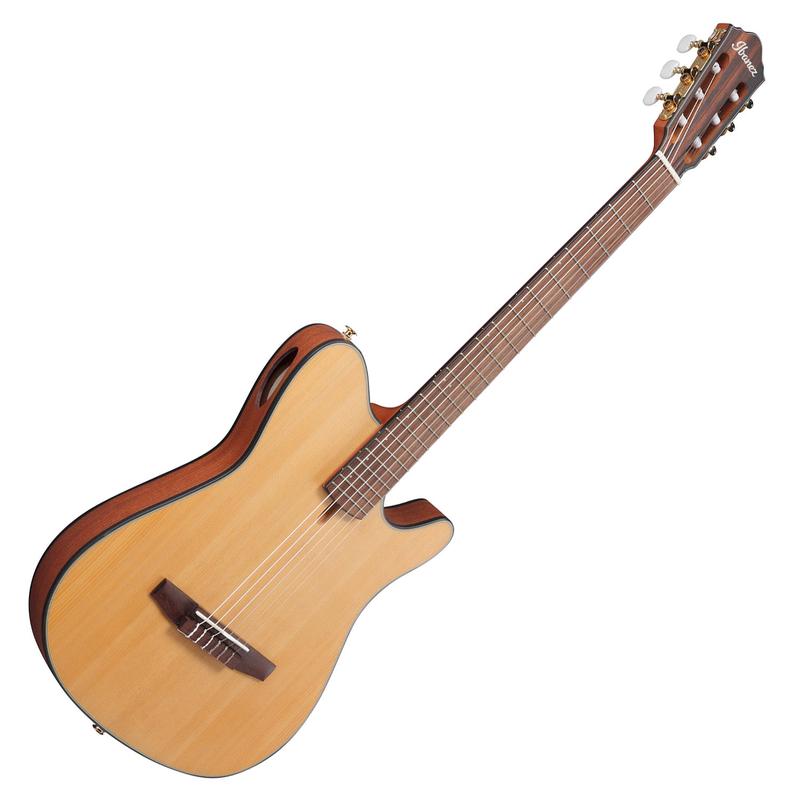 Ibanez Nylon String Acoustic Electric Classical Guitar in Natural Flat  - FRH10NNTF