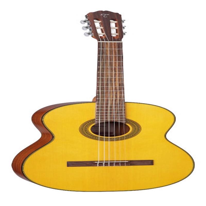 TAKAMINE - GC1-NAT